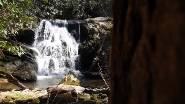 Slow Motion Waterfall Wide Shot Tree Foreground Shot 180 Frames — Stock Video