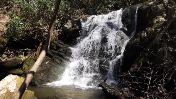 Cachoeira Furiosa Tiro Câmera Lenta 180 Quadros Por Segundo — Vídeo de Stock