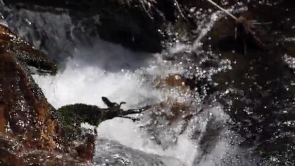 Большой Замедленный Выстрел Воды Текущей Чистом Горном Потоке Выстрел Скоростью — стоковое видео