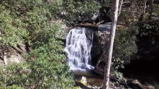 Airial Flyover Air Terjun Tersembunyi Pegunungan Appalachian — Stok Video