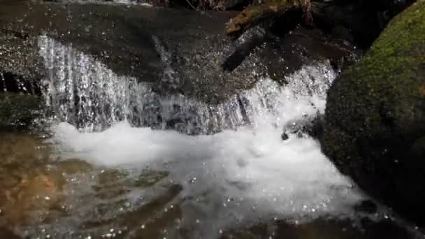 Baixo Ângulo Tiro Câmera Lenta Pequena Cachoeira Córrego Montanha Tiro — Vídeo de Stock