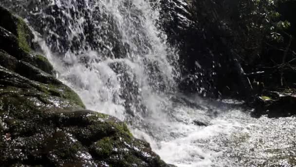 Agua Pura Montaña Disparada Cámara Lenta Mientras Sumerge Desde Cascada — Vídeo de stock