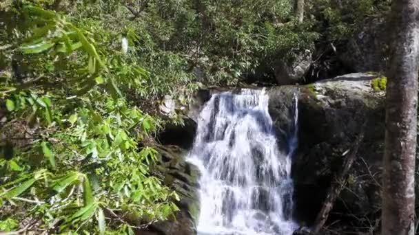 Empurre Aéreo Através Dos Rhododendrons Revelando Uma Cachoeira Escondida Longo — Vídeo de Stock