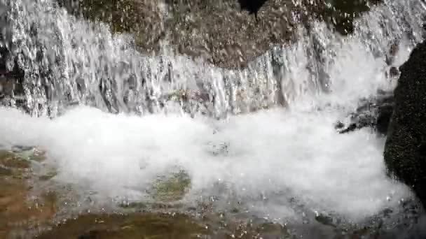 Impresionante Toma Cámara Lenta Agua Cascada Arroyo Montaña 180 Fotogramas — Vídeo de stock