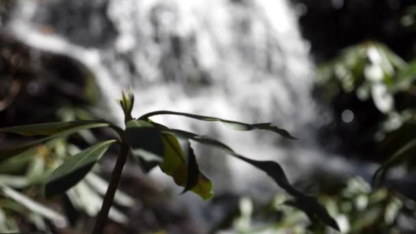 Medium Slow Motion Shot Mountain Waterfall 180 Fotogramas Por Segundo — Vídeo de stock