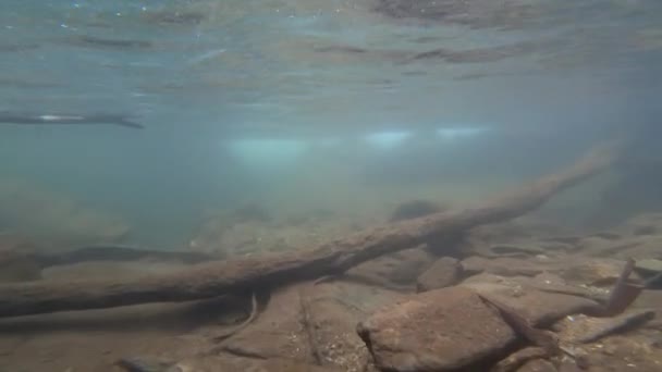 水底游泳揭示瀑布 — 图库视频影像