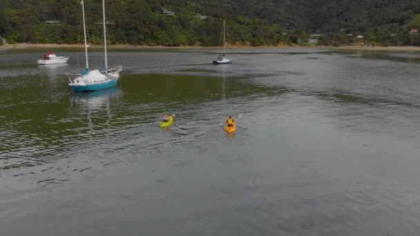 Slowmo Couple Kayaking Yachts Bay Marlborough Sounds New Zealand Aerial — Stock Video