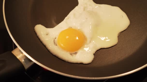 Faire Frire Oeuf Dans Une Casserole Téflon Gros Plan — Video