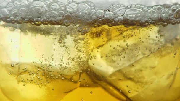 Макро Виски Пивной Напиток Льдом Освежающий Холодный Газированный Хмель Шанди — стоковое видео