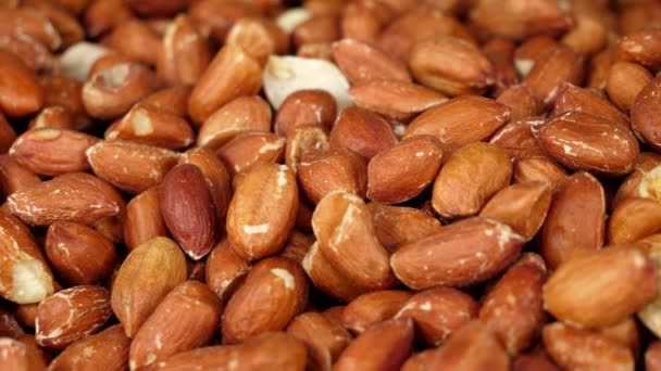 Nahaufnahme Auf Einem Haufen Roher Erdnüsse Weitere Werden Der Charge — Stockvideo