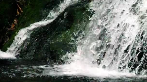 水以慢速流进清澈的山池 — 图库视频影像