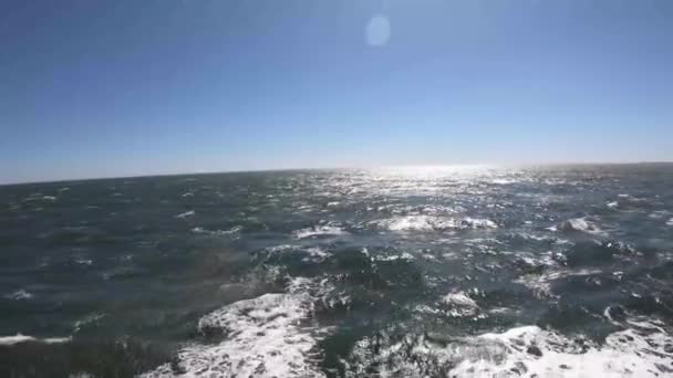 물결치는 바다를 메웠다 — 비디오