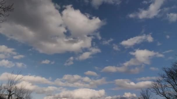 Time Lapse Shot Van Wolken Rollen Door Een Blauwe Lucht — Stockvideo