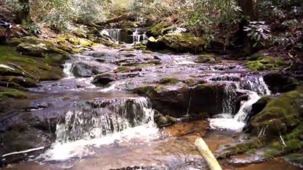 Cascada Cámara Lenta Blue Ridge Mountains Carolina Del Norte — Vídeo de stock