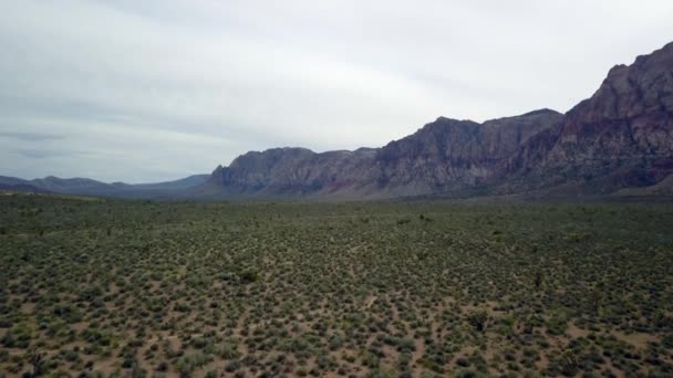 Flyg Långsam Tryck Öknen Golvet Red Rock Canyon Nevada — Stockvideo