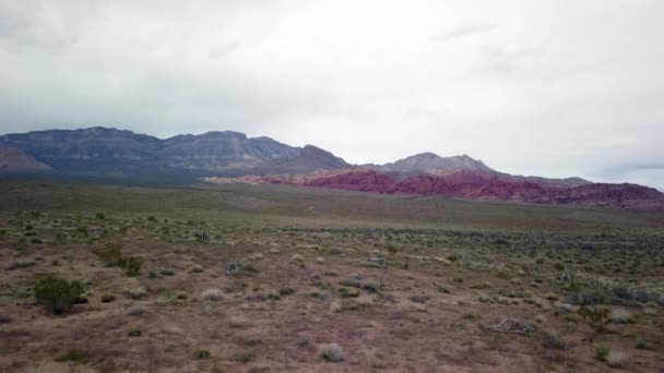 Letecký Útok Kaktusem Odhalující Popředí Skály Red Rock Canyon Pozadí — Stock video