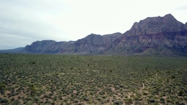 Luchtfoto Van Graslanden Woestijn Cactus Voorgrond Terwijl Camera Naar Bergen — Stockvideo