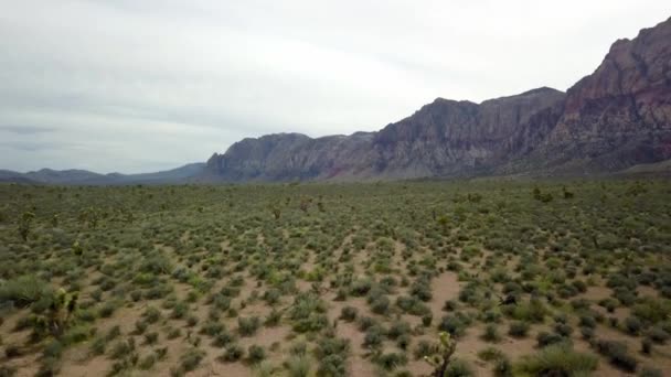 Retrait Aérien Rapide Sol Désertique Red Rock Canyon Dans Nevada — Video
