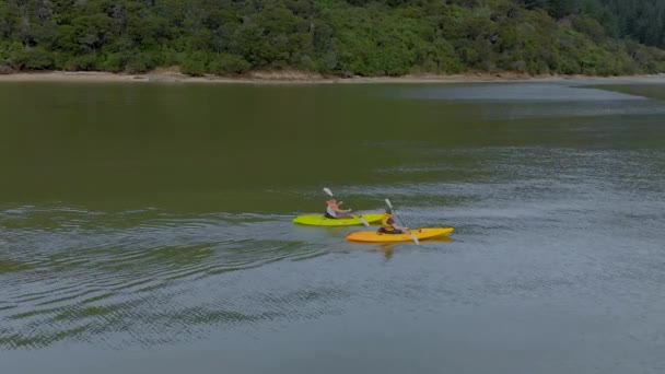 Slowmo Zwei Personen Beim Kajakfahren Marlborough Sounds Neuseeland Luftaufnahme — Stockvideo