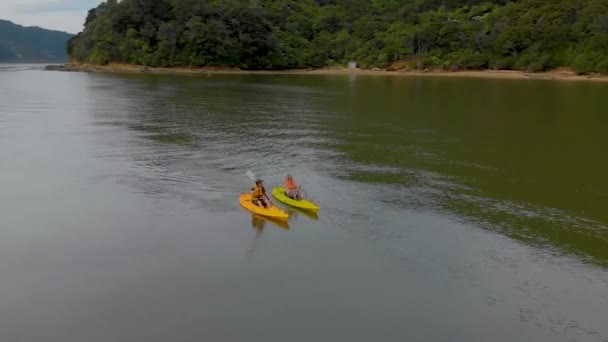 Two People Kayaking Coast Marlborough Sounds New Zealand Aerial — Stock Video