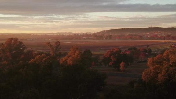 Letecký Záběr Letí Směrem Závodní Dráze Mlhavého Podzimního Rána Wagga — Stock video