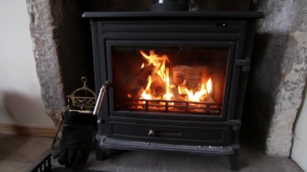 Holzofen Mit Kleinen Holzscheiten Inneren Der Heizungskammer Flammen — Stockvideo