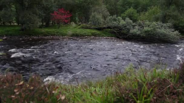 小さな川の流れを左から右に少し白い水の急流で流れる — ストック動画