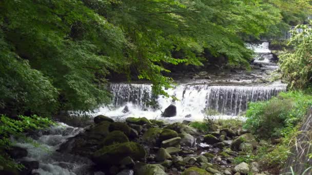 Wasserfälle Entlang Des Fujiki Flusses Der Kanagawa Präfektur Südlich Von — Stockvideo