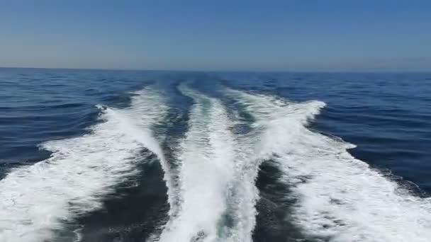 Волна Видимая Быстро Движущейся Моторной Лодки Ясное Небо День Голубое — стоковое видео