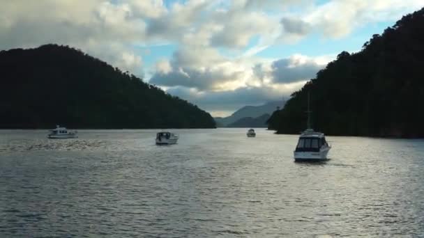 Barcos Ancorados Baía Marlborough Sounds Nova Zelândia — Vídeo de Stock