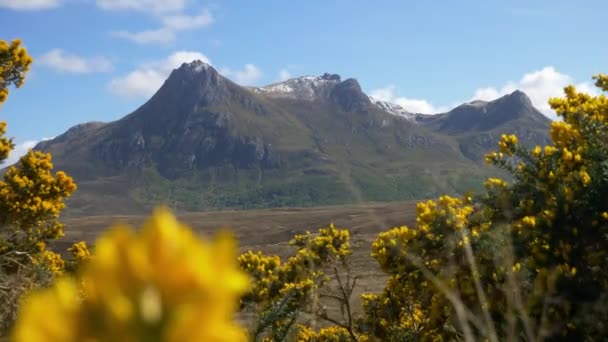 Ampla Paisagem Tiro Montanha Ben Loyal Primavera Perto Língua Sutherland — Vídeo de Stock