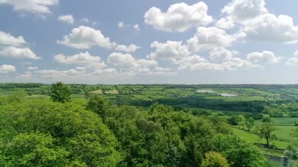 Aerial Rastreamento Passado Árvores Verdes Final Primavera Revelando Campos Verdes — Vídeo de Stock