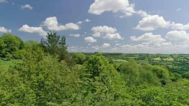 英語のフィールドと緑の春の木 背景には農地の波 すごい青空 — ストック動画