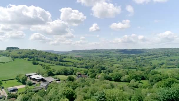 Ascensão Aérea Acima Árvores Verde Campo Devon Terras Agrícolas Verão — Vídeo de Stock