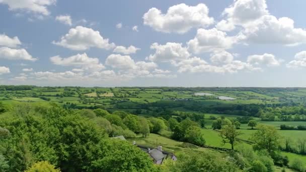 Letecké Sledování Bokem Mezi Stromy Výhledem Nádherné Jaro Devon Krajiny — Stock video