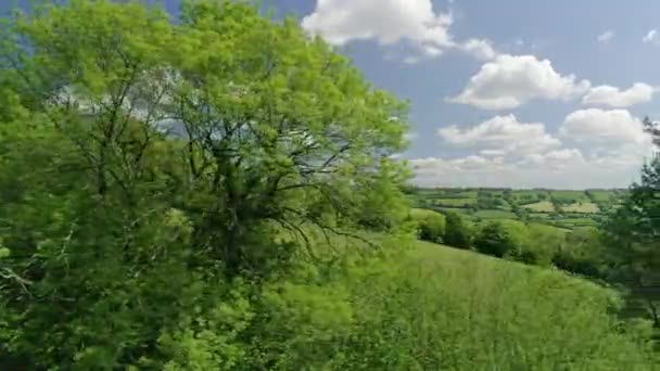 Aerial Rastreamento Passado Hedgerow Árvores Com Uma Lacuna Revelando Campo — Vídeo de Stock