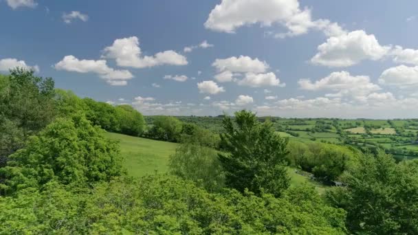 Lento Rasto Passado Copas Árvores Entre Campos Verdes Ingleses Uma — Vídeo de Stock