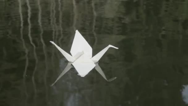 Cisne Origami Bonito Flutuando Superfície Água — Vídeo de Stock