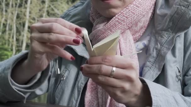 Kvinna Flicka Efterbehandling Origami Papper Svan Närbild — Stockvideo