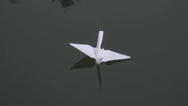 Closeup Origami Cisne Flutuando Superfície Água — Vídeo de Stock