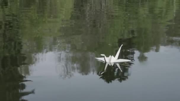 Gyönyörű Origami Hattyú Lebeg Víz Felszínén — Stock videók