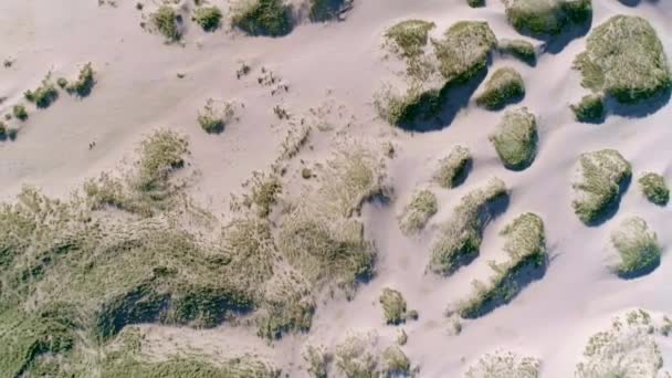 Suivi Descendant Aérien Des Dunes Sable Avec Touffes Herbe — Video