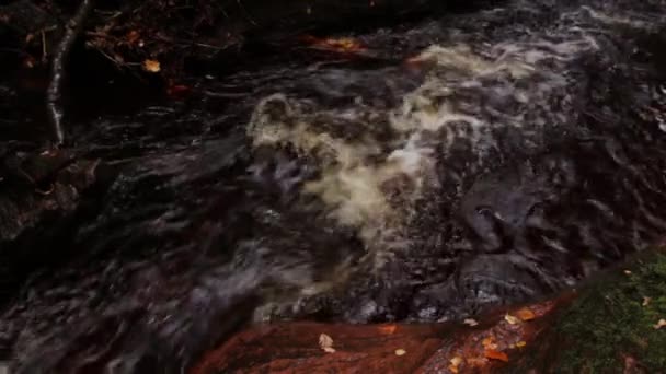 Scottish River Creek Płynie Zwolnionym Tempie Jesienią Ambonie Finnich Glen — Wideo stockowe