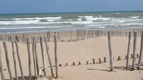 아름답고 자연적 야생적 Rows Line Wooden Cape Juby Tarfaya Morocco — 비디오