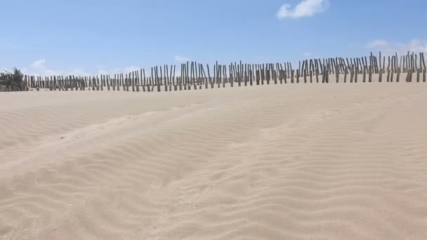 Playa Natural Salvaje Con Una Hermosa Vasta Área Dunas Protegidas — Vídeo de stock