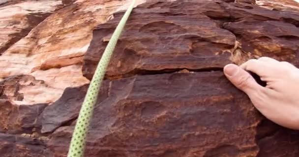 Пов Альпініста Піднімається Скелю Каньйон Ред Рокс Каньйон Невада — стокове відео