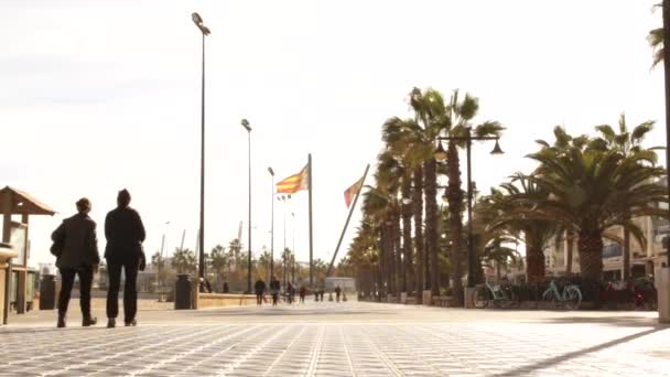 Pessoas Caminhando Para Baixo Calçadão Esplanada Bela Valência Espanha Com — Vídeo de Stock