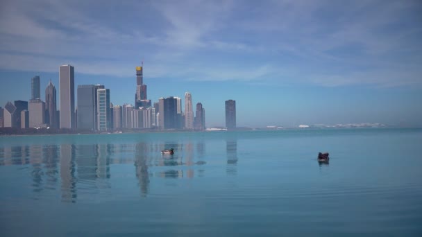 阳光灿烂的芝加哥天际线全景 — 图库视频影像