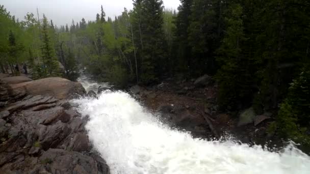 Flujo Corriente Agua Cámara Lenta — Vídeo de stock