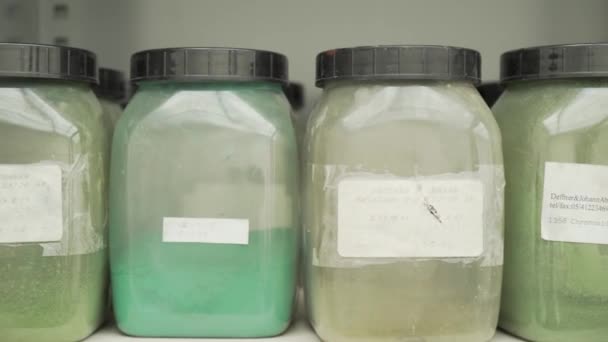 研究室で緑の顔料粉末の色 クローズアップショット — ストック動画